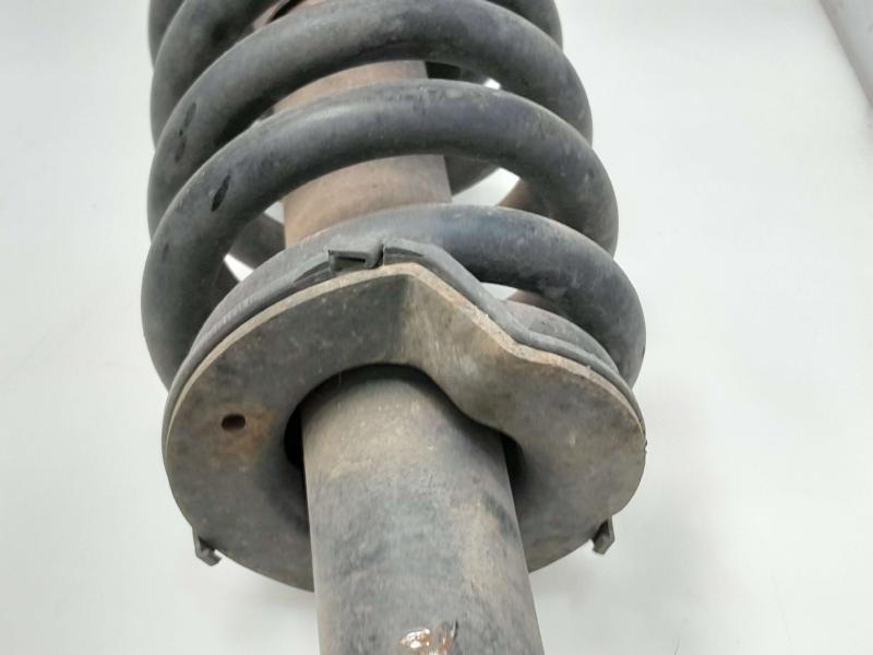 2007 Ford Expedition Strut Assembly