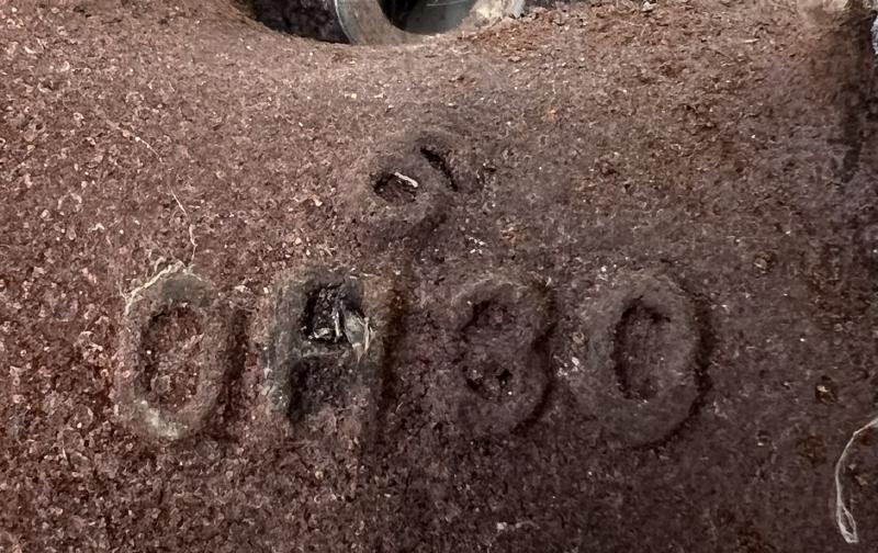 2001 Acura TL Exhaust Manifold