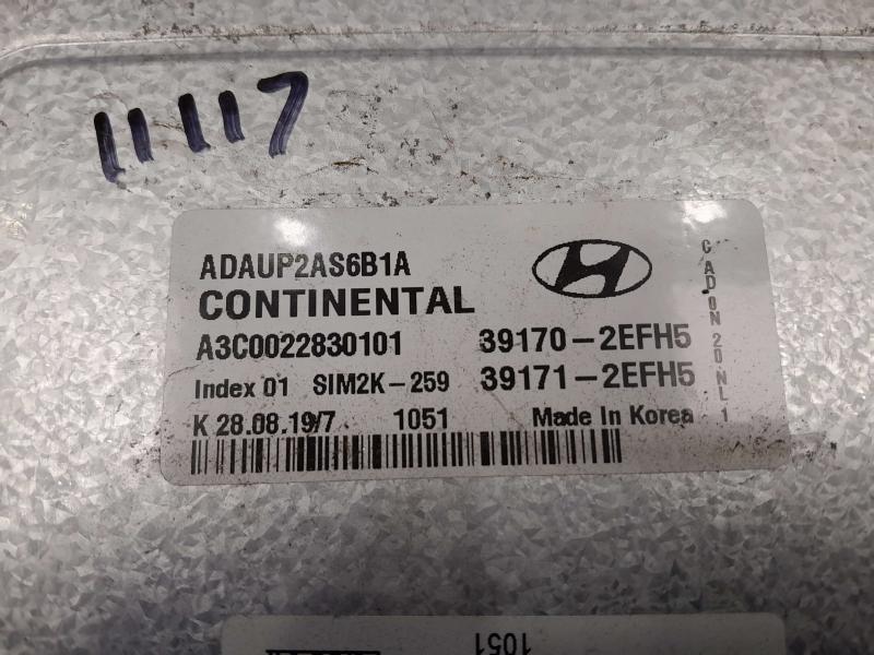 2020 Hyundai Elantra 2.0L Sedan Electronic Control Module ECU ECM PCM OEM 391712EFH5