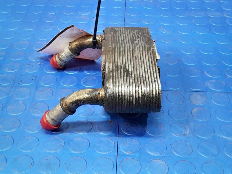 2011-2023 Ford F-150 5.0L Engine Oil Cooler Genuine OEM Part ML3Z6A642D