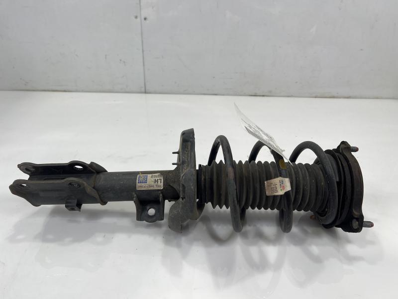 2019 Hyundai Elantra Strut Assembly
