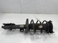 2019 Hyundai Elantra Strut Assembly