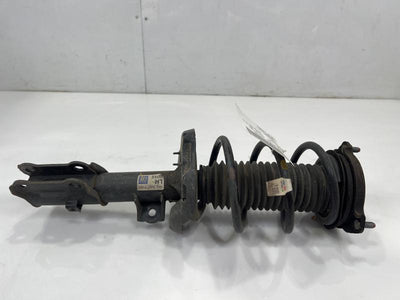 2019 Hyundai Elantra Strut Assembly