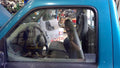 1996 Mazda B2300 Front Door Glass/Window