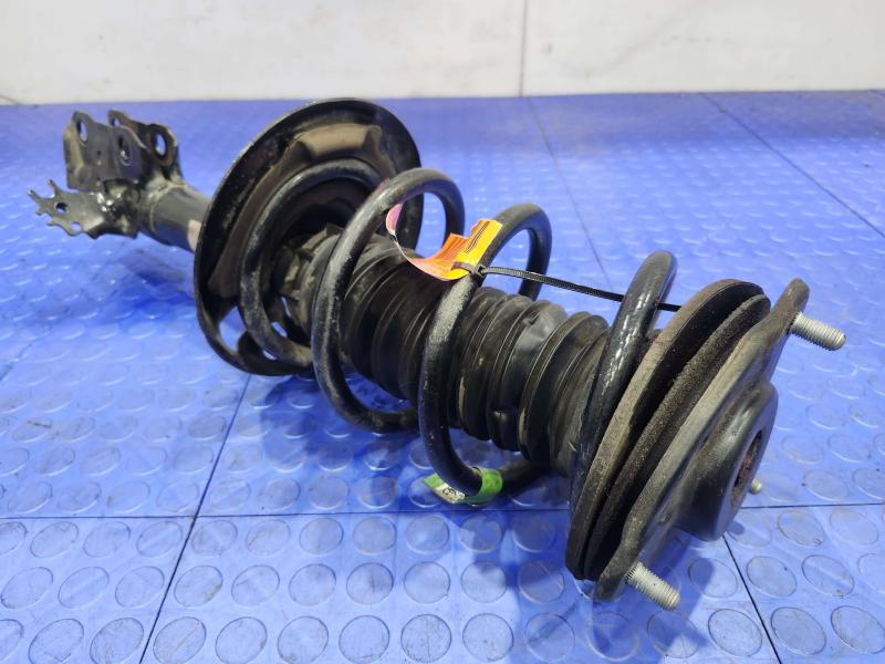 2021 Toyota RAV4 Strut Assembly