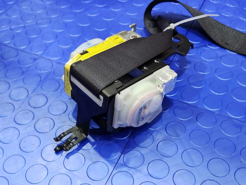 2008 Lexus LS 460 Rear Seat Belt