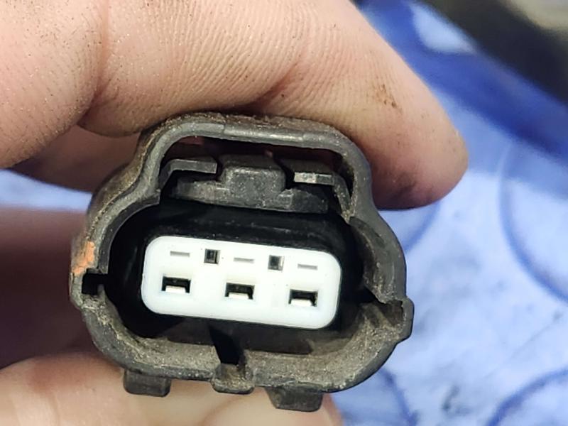 2008 Subaru Legacy Wire Harness (Engine)