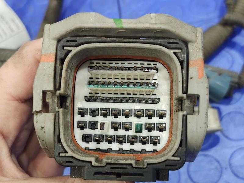 2008 Subaru Legacy Wire Harness (Engine)
