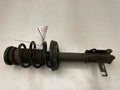 2012 Chevrolet Volt Strut Assembly