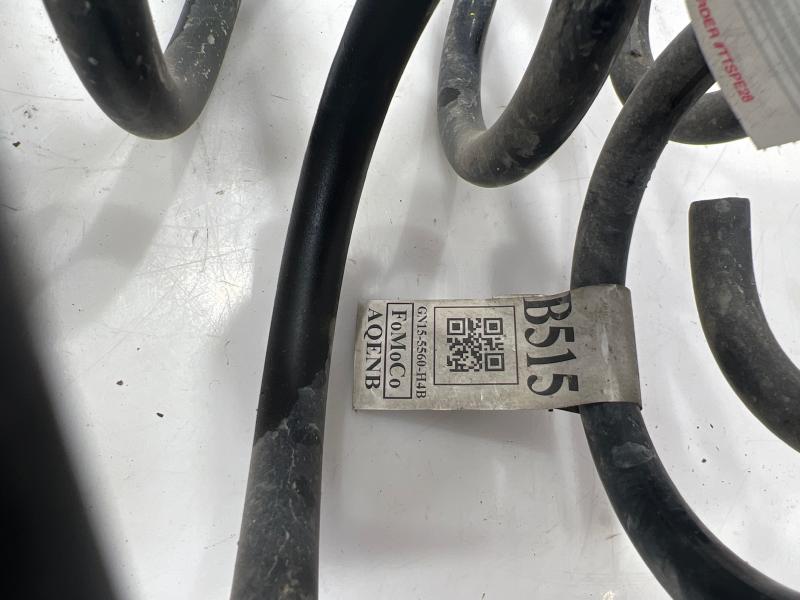2021 Ford EcoSport Coil/Air Spring