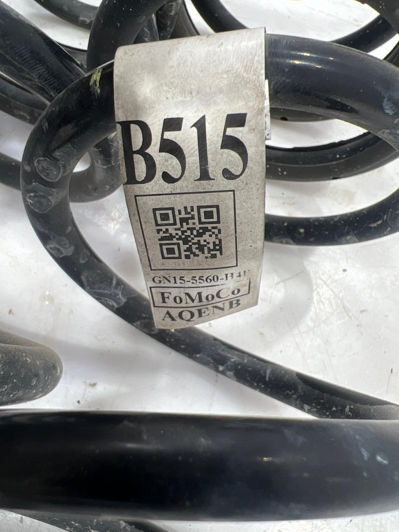 2021 Ford EcoSport Coil/Air Spring