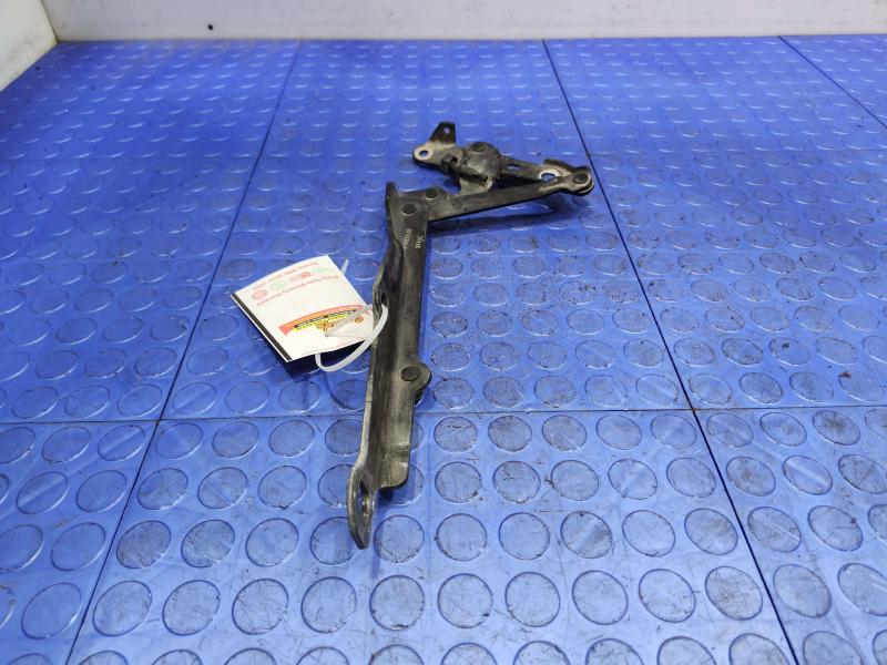 2010 Dodge Challenger Hood Hinge