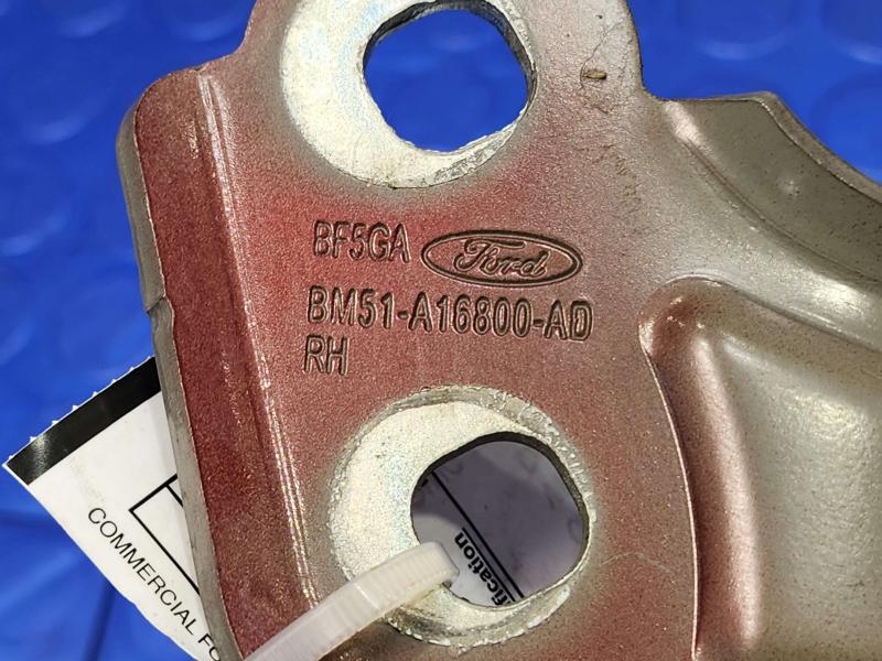 2014 Ford Focus Hood Hinge