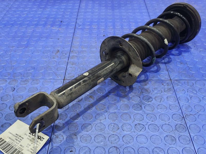 2015 Acura TLX Strut Assembly