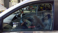 2009 Volkswagen Routan Front Door Glass/Window