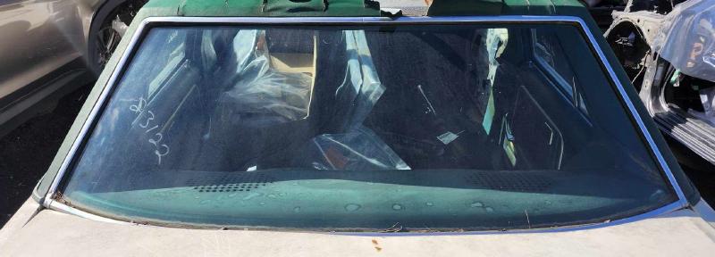 1978 Ford Granada Back Glass/Window