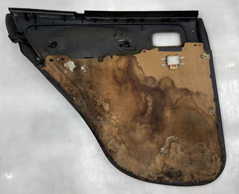 1998 Toyota RAV4 Rear Door Trim Panel