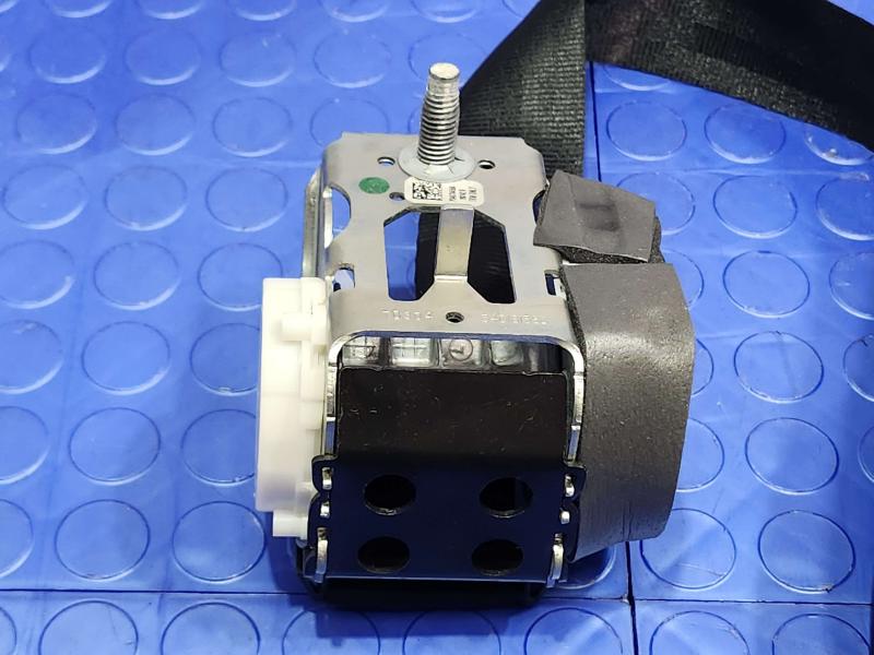 2014 Ford Focus Rear Seat Belt