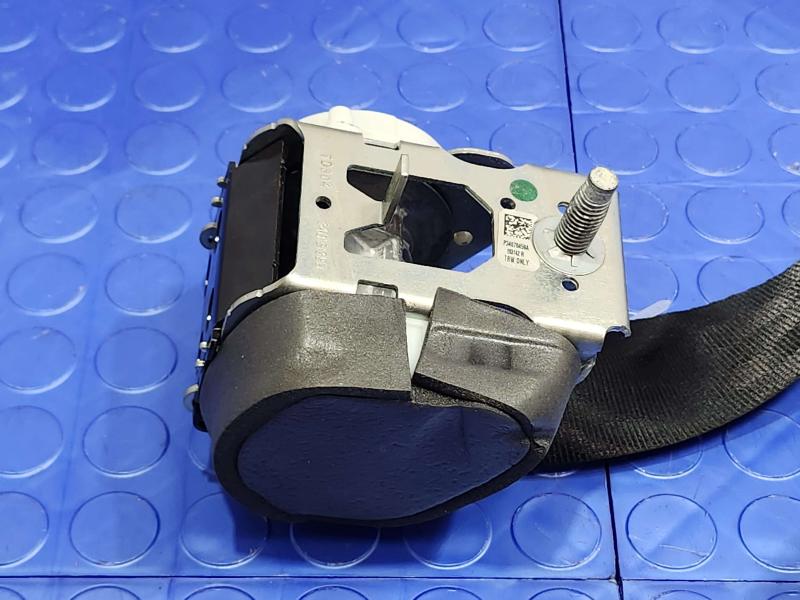 2014 Ford Focus Rear Seat Belt