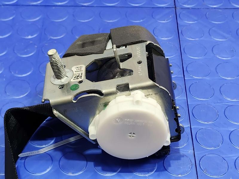 2014 Ford Focus Rear Seat Belt