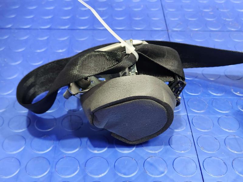 2014 Ford Focus Rear Seat Belt
