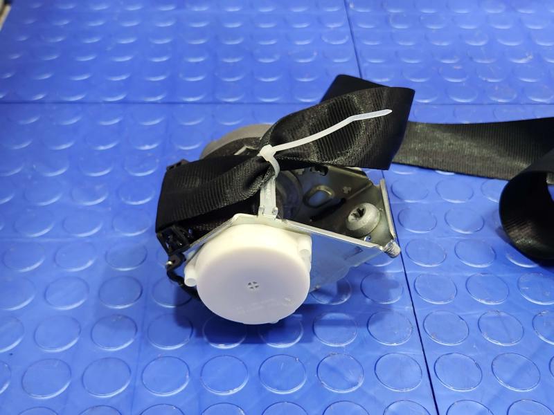 2014 Ford Focus Rear Seat Belt