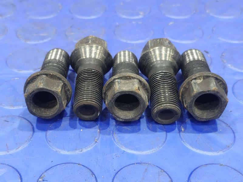2017 BMW X1 Lug Nuts