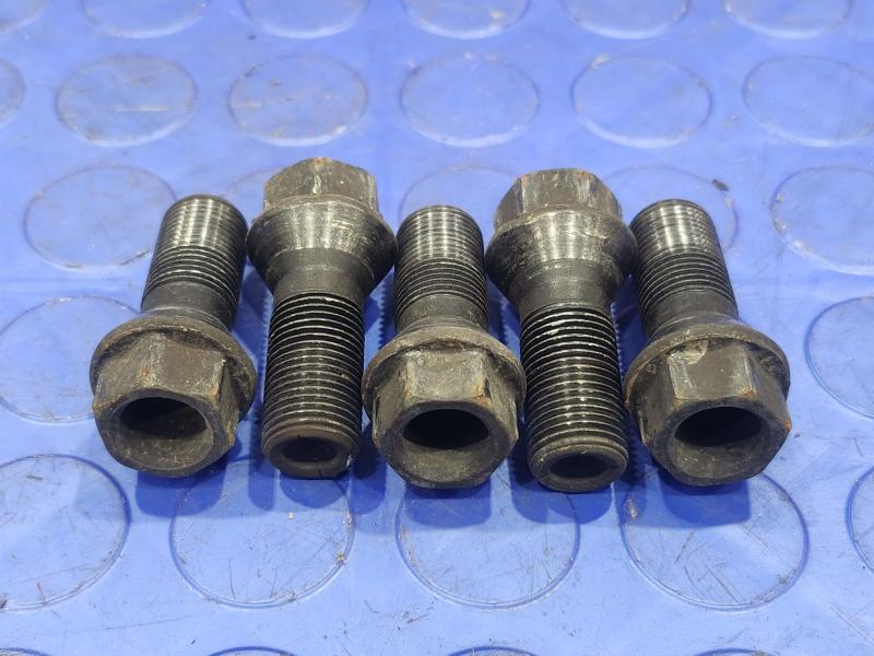 2017 BMW X1 Lug Nuts