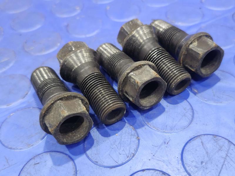 2017 BMW X1 Lug Nuts