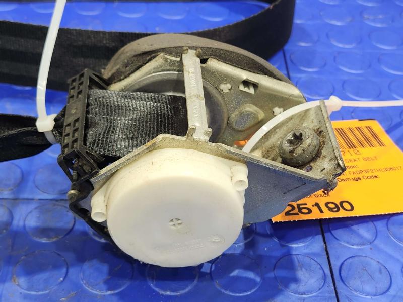 2017 Ford Focus Rear Seat Belt