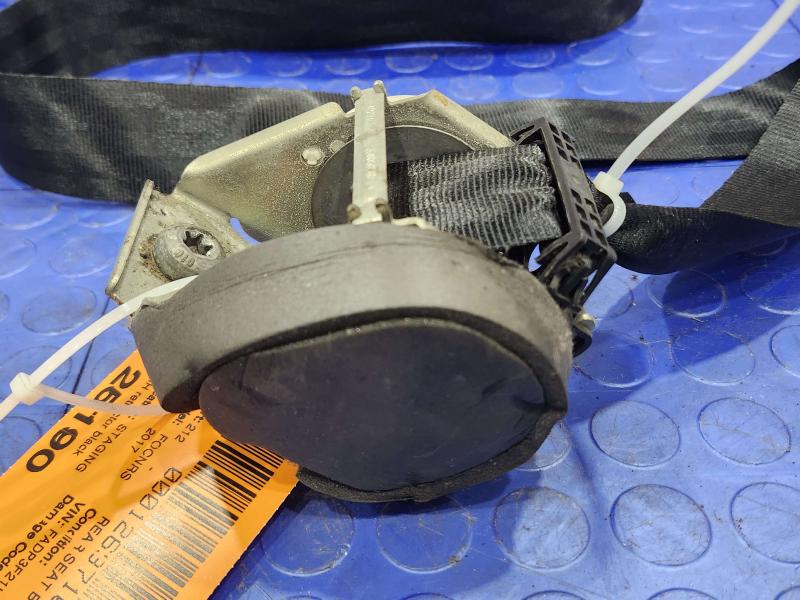 2017 Ford Focus Rear Seat Belt