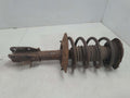 1999 Buick Park Avenue Strut Assembly