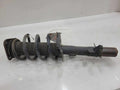 2014 Ford Escape Strut Assembly