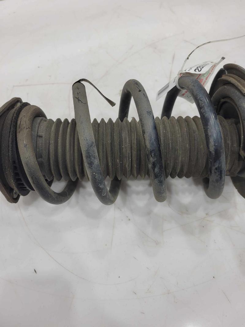 2014 Ford Escape Strut Assembly