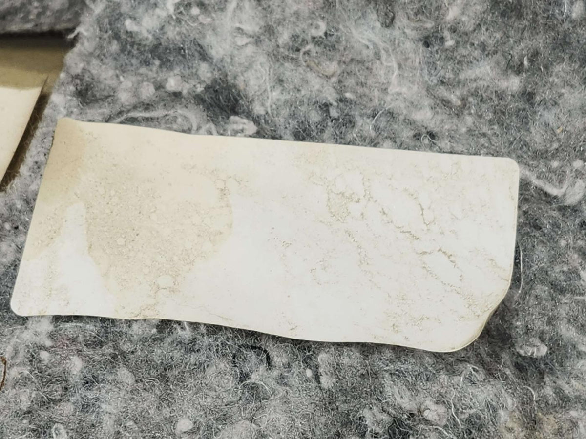 2010 Dodge Challenger Front Door Trim Panel