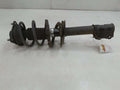 2013 Kia Sportage Strut Assembly