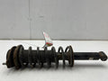 2009 - 2013 Subaru Forester Rear Strut Assembly LH Driver Side OEM 20365SC001