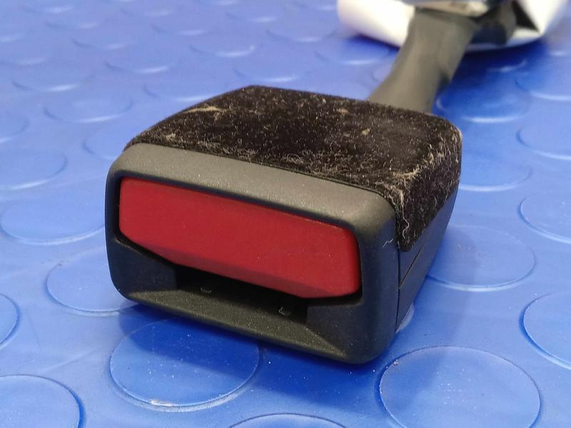 2024 Ford Bronco Sport Front Seat Belt
