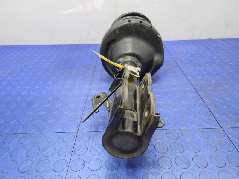 2015 Subaru Legacy Strut Assembly