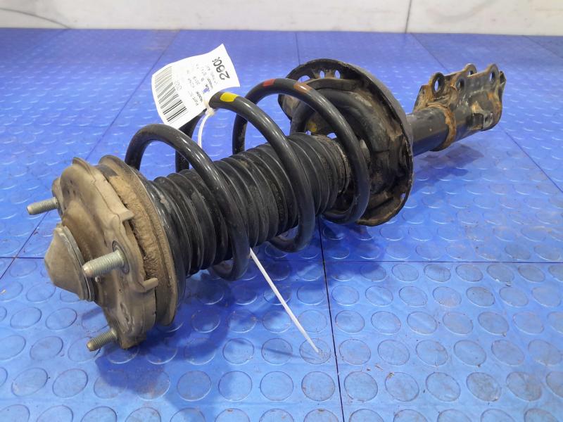 2019 Hyundai Kona Strut Assembly