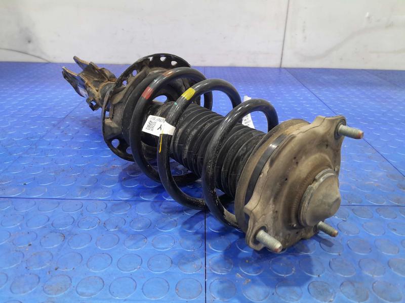 2019 Hyundai Kona Strut Assembly