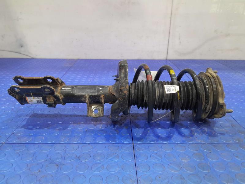 2019 Hyundai Kona Strut Assembly