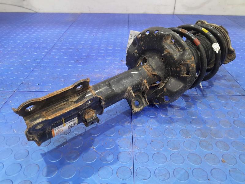 2019 Hyundai Kona Strut Assembly