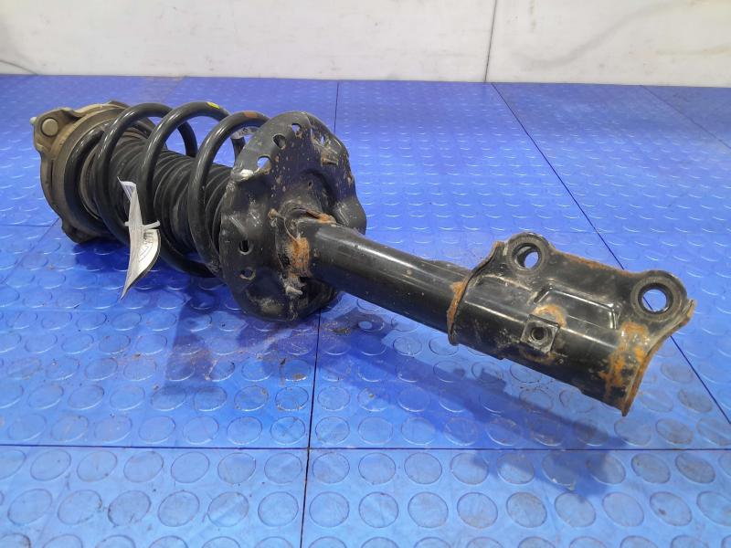 2019 Hyundai Kona Strut Assembly