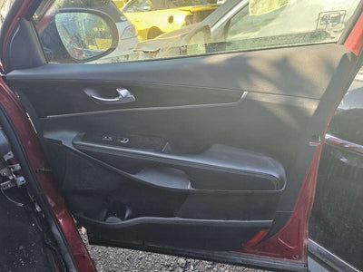 2017 Kia Sorento Front Door Trim Panel