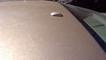 2010 2011 Toyota Camry Radio Antenna Mast and Base Gold OEM 8696006020E0