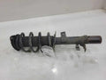 2014 Ford Escape Strut Assembly