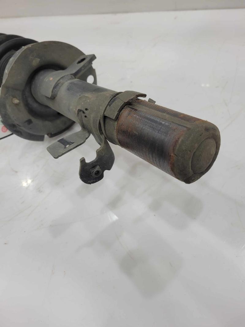2014 Ford Escape Strut Assembly