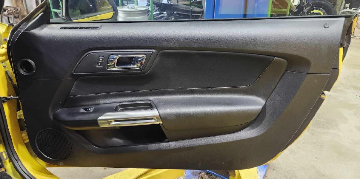 2015 Ford Mustang Front Door Trim Panel
