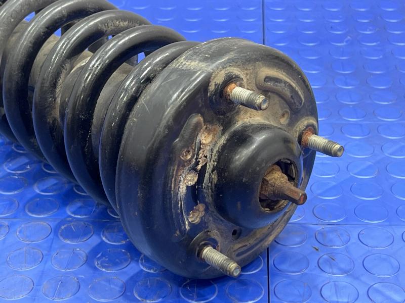 2016 Ford F-150 Strut Assembly
